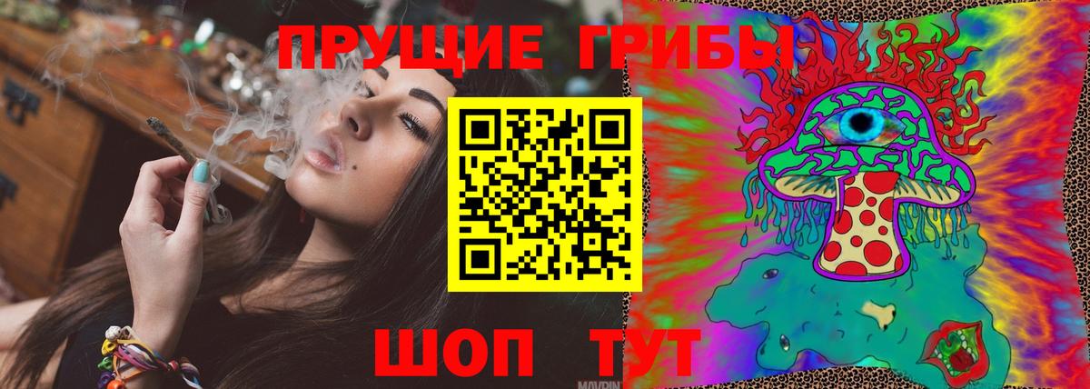где продают наркотики  Псилоцибиновые грибы прущие грибы  Вход с VPN  Сертолово 