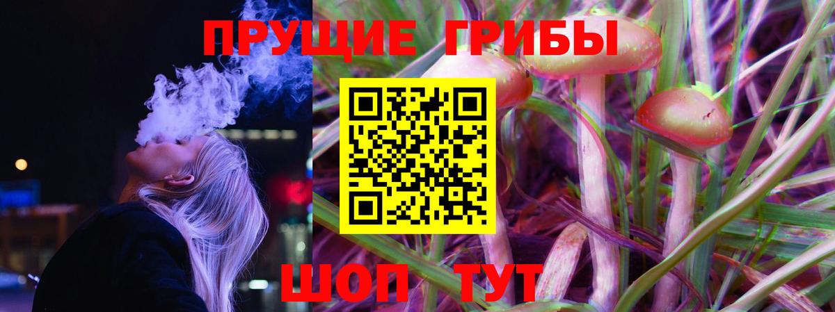 Галлюциногенные грибы Psilocybine cubensis Сертолово